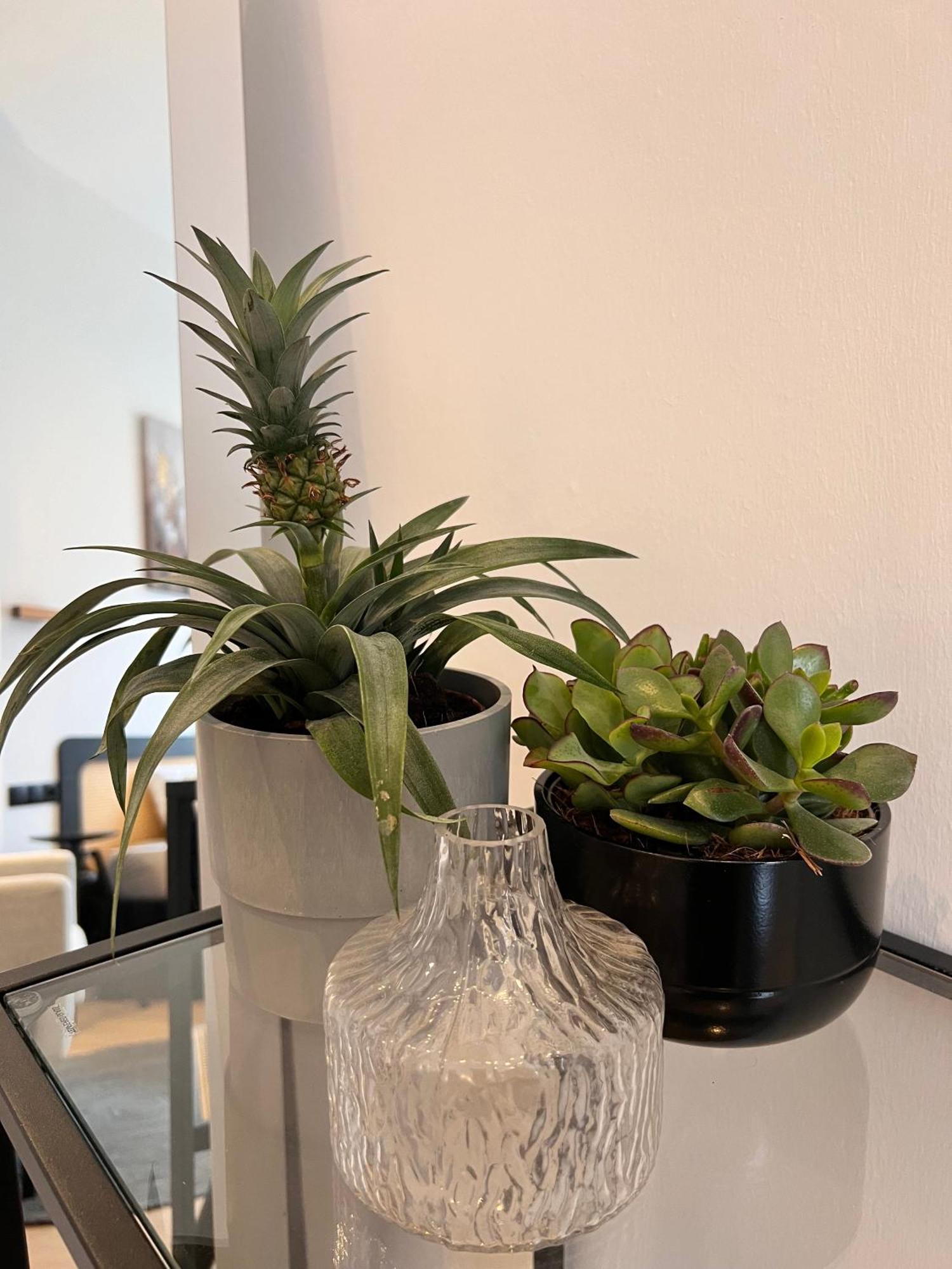 Modern Stay I Cosy & Central Apartments Koblenz  Luaran gambar